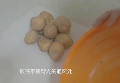 土豆怎么保存延緩發(fā)芽速度