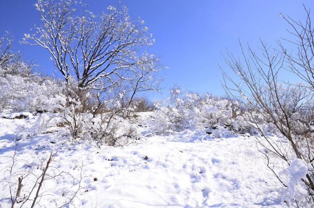 2023冬天降雪多夏天會干旱嗎 下大雪的年份夏天會怎樣